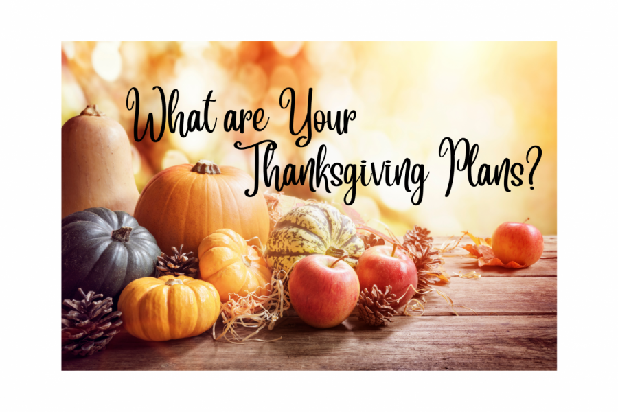 What are your plans for Thanksgiving?