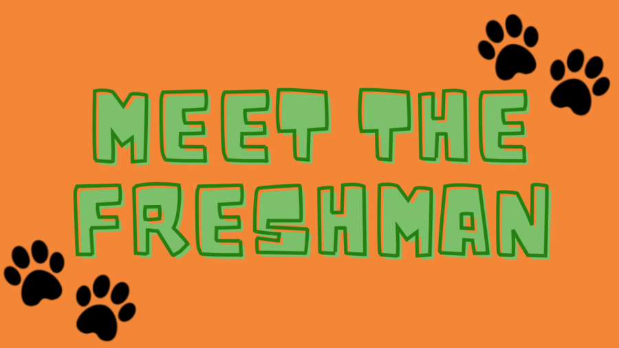 Meet+The+Freshman