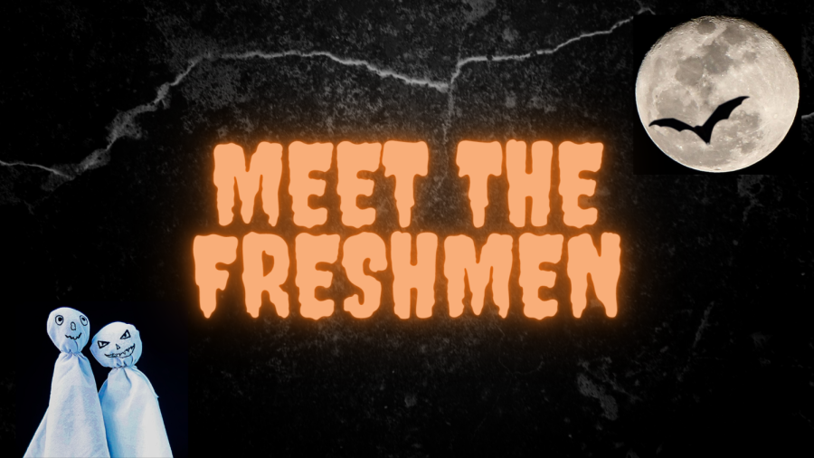 Meet The Freshmen