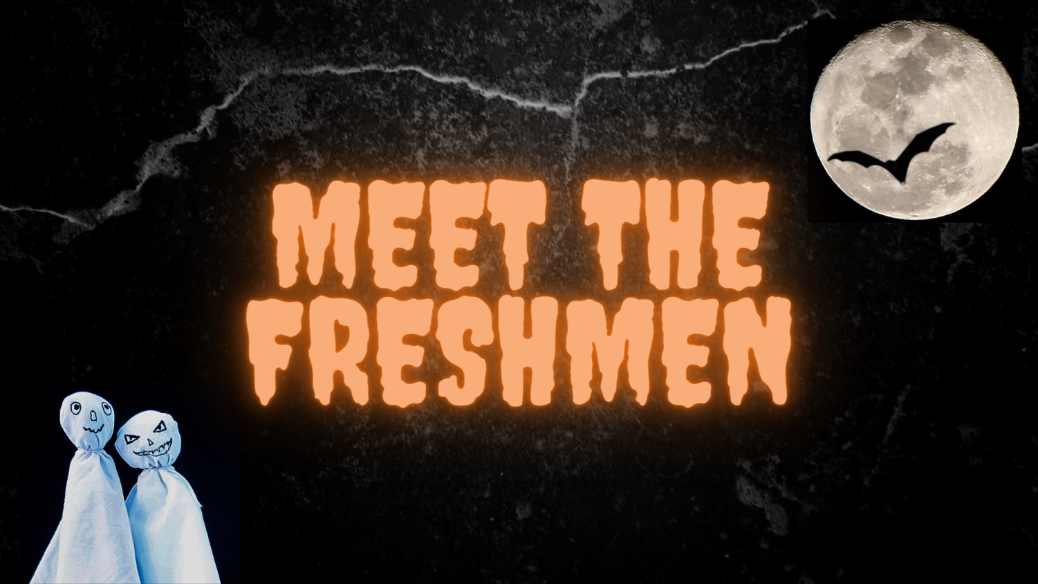 Meet The Freshmen The Orange And Green