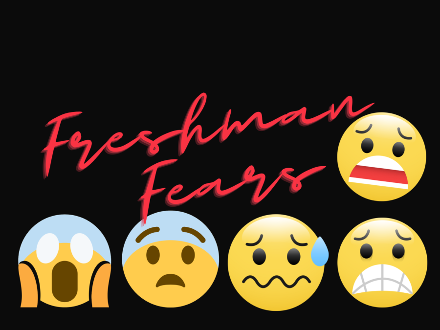 Freshman+Fears