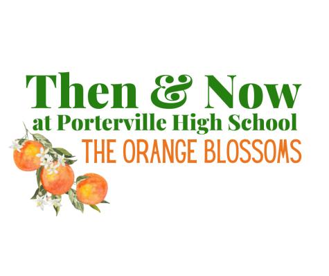 Then & Now- The Orange Blossoms
