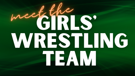 Meet the Varsity Girls Wrestling Team