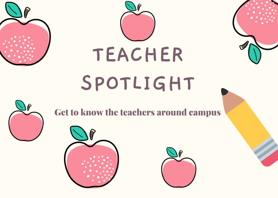 Teacher Spotlight
