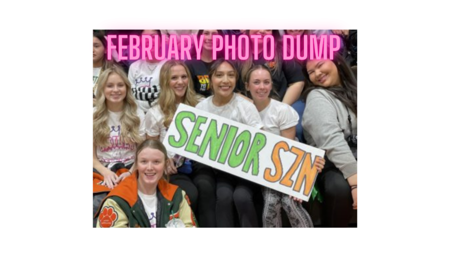 February Photo Dump