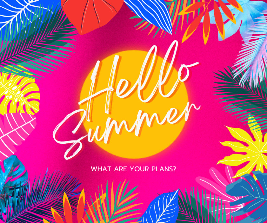 What+are+your+plans+for+summer