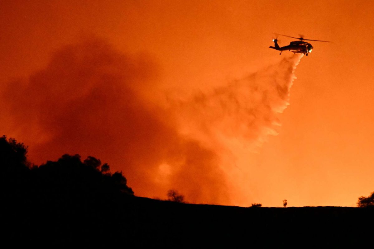 Tragedy and Resilience: LA Residents Face Devastating Fires and Need Our Help!