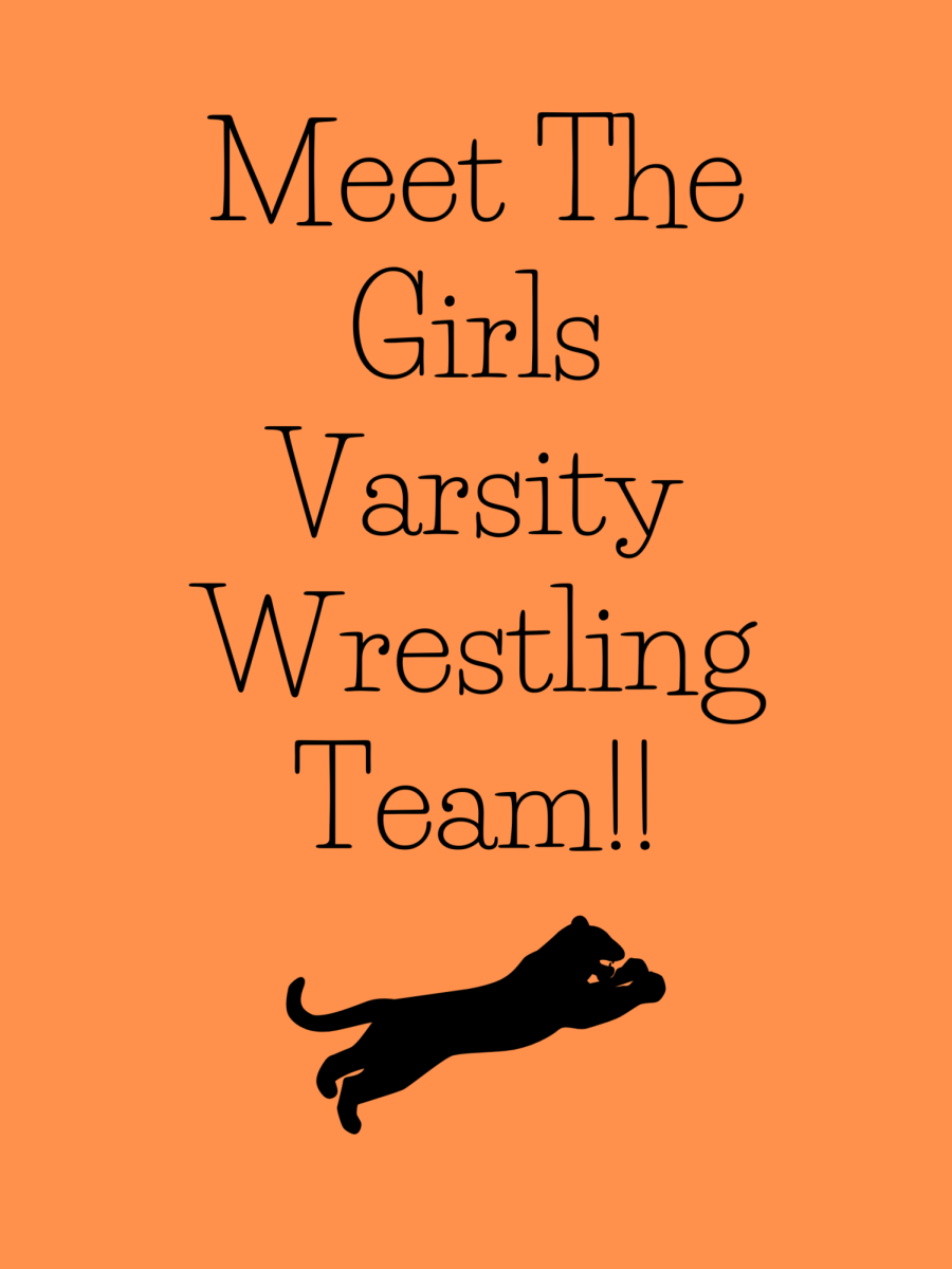 Meet The PHS Varsity Girls Wrestling Team