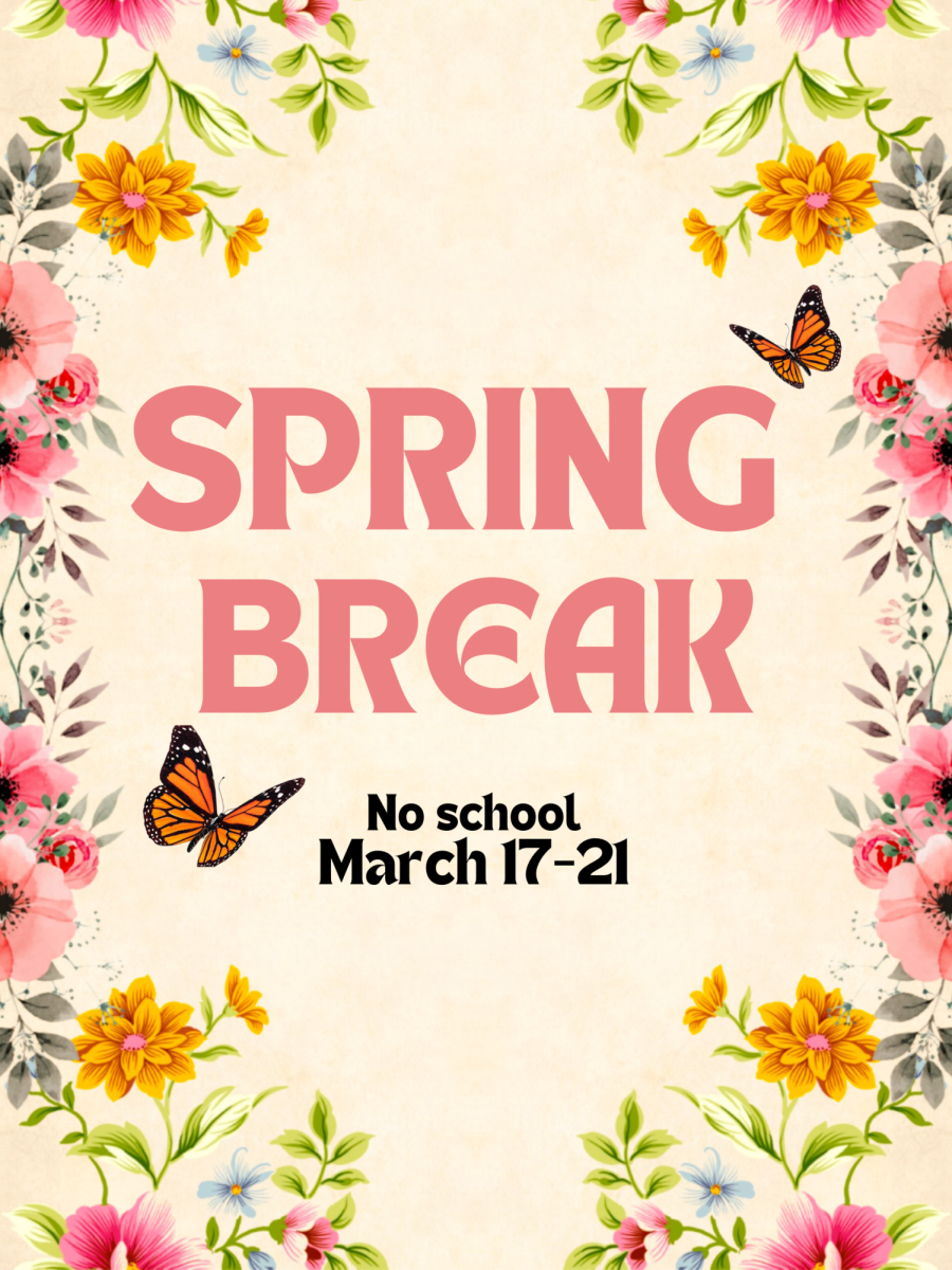 Activities You Can Try This Spring Break!