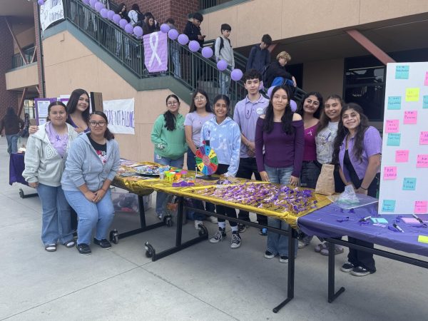 Z-Club Hosts 4th Annual Purple Thursday to Raise Awareness About Domestic Violence