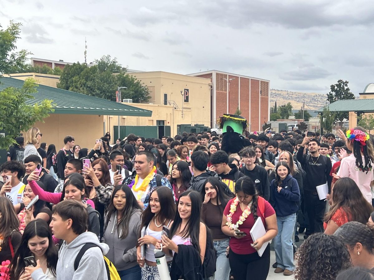 Senior Walkout