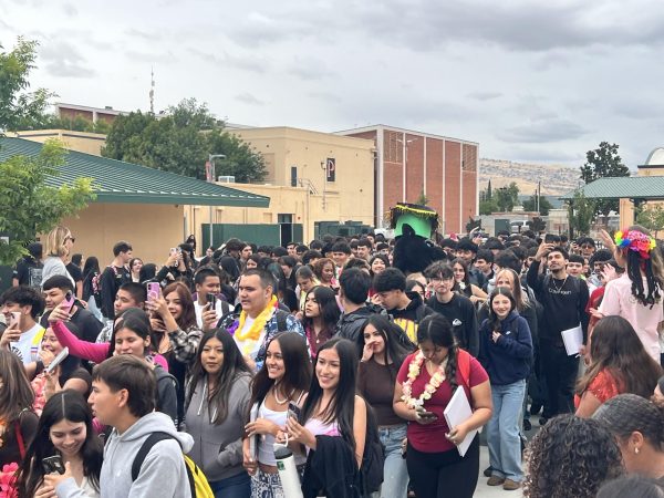 Senior Walkout